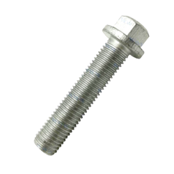 Śruba M10X,25X5