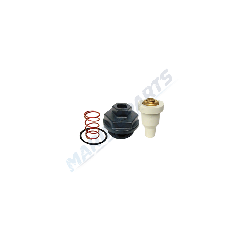 Zestaw termostatu Johnson/Evinrude V4/6