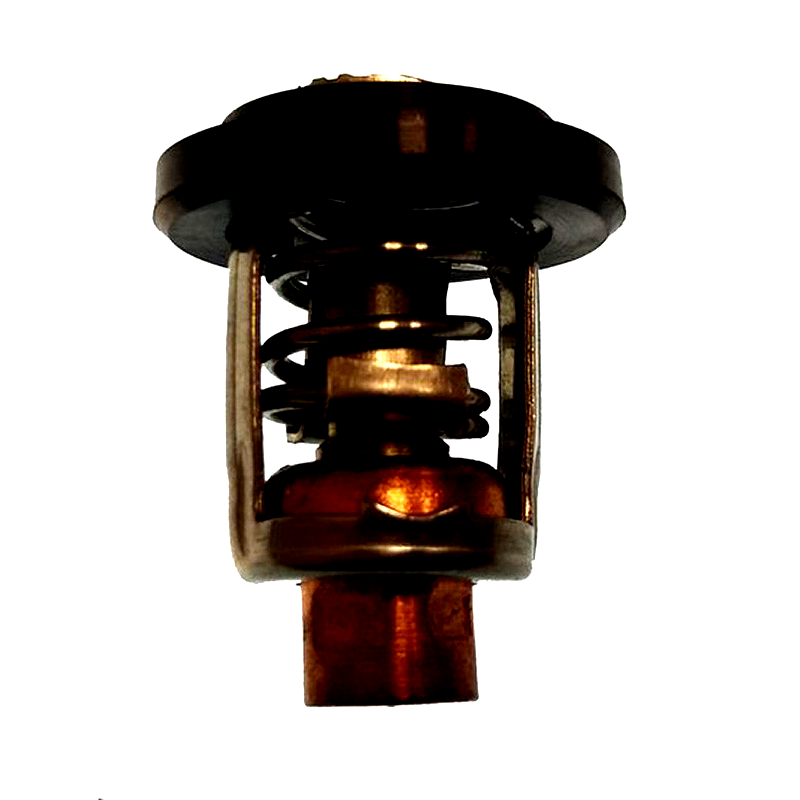 Termostat Yamaha/Parsun