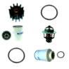 Zestaw serwisowy do Yanmar6LP-DTE,6LP-STE